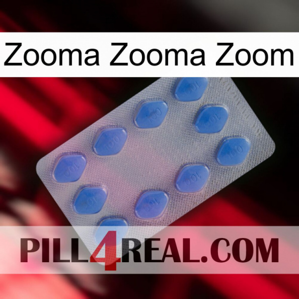 Zooma Zooma Zoom 21